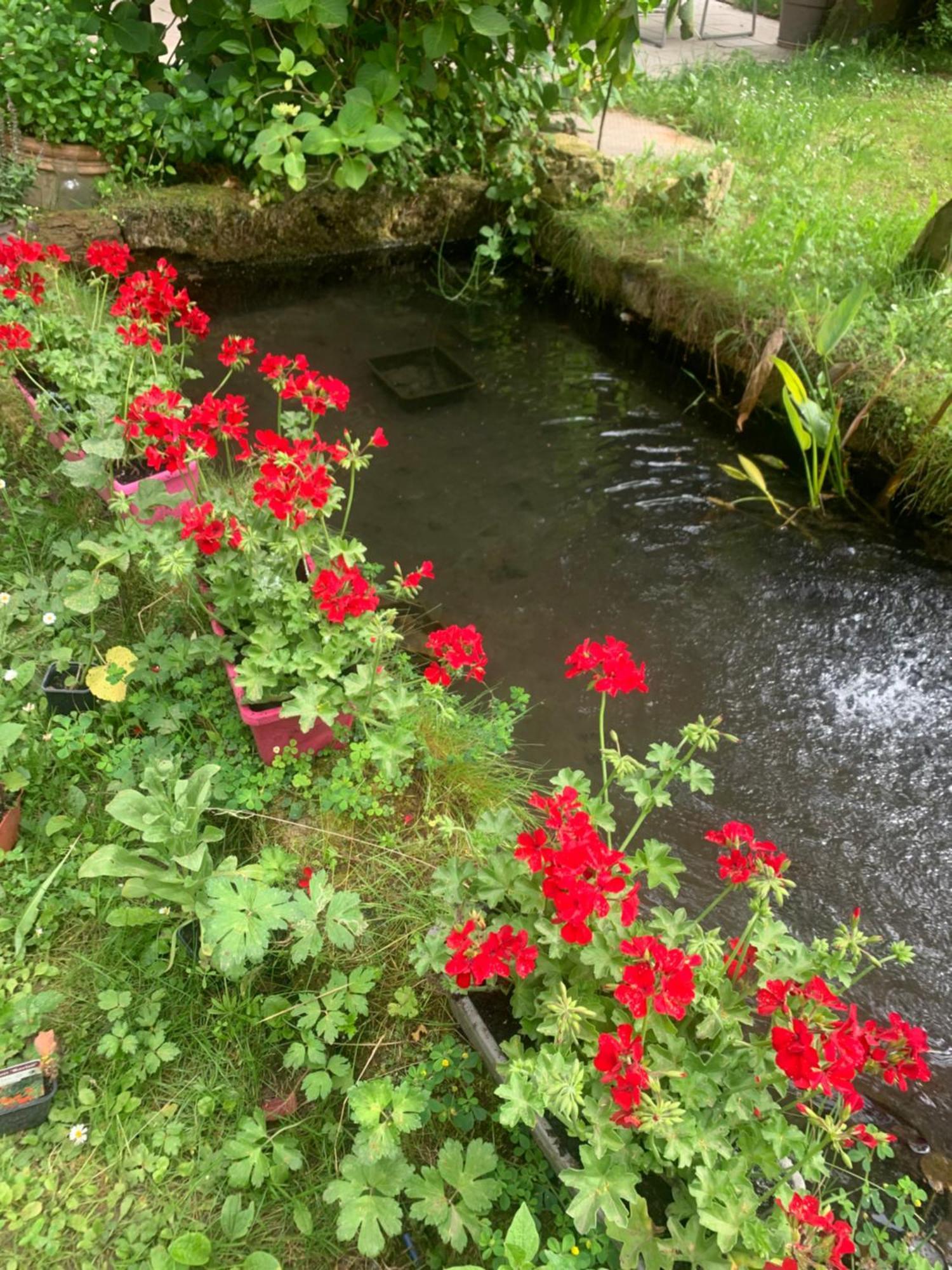 Homestay Vercors En , D'hotes De Charme