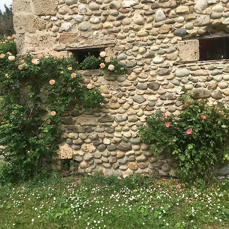 Vercors En Vert , Chambres D'Hotes De Charme Saint-Romans  Exterior photo
