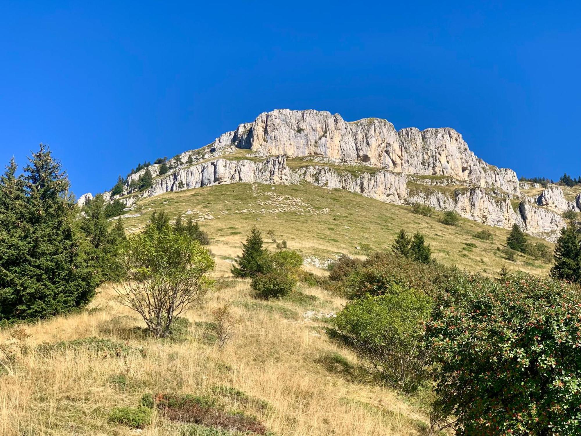 Vercors En , D'hotes De Charme Accommodatie bij particulieren Saint-Romans (Isere)