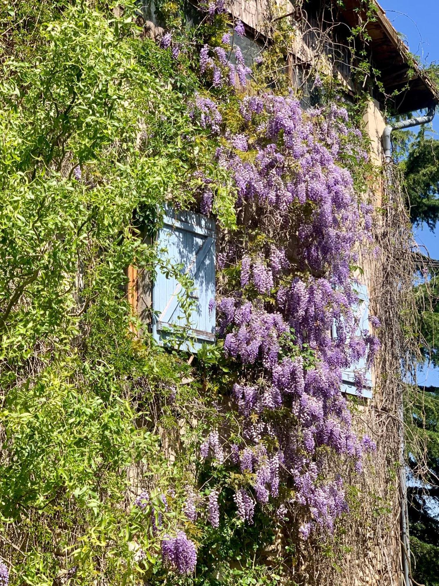 Vercors En , D'hotes De Charme Accommodatie bij particulieren *